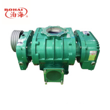 Energy saving and efficient roots vacuum pump From China